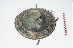 Foto von Bronzebreitrandfußschale (NHMW-PRAE-025213)